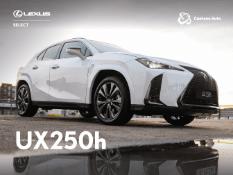Elegância Sustentável: Descubra o Lexus UX 250h